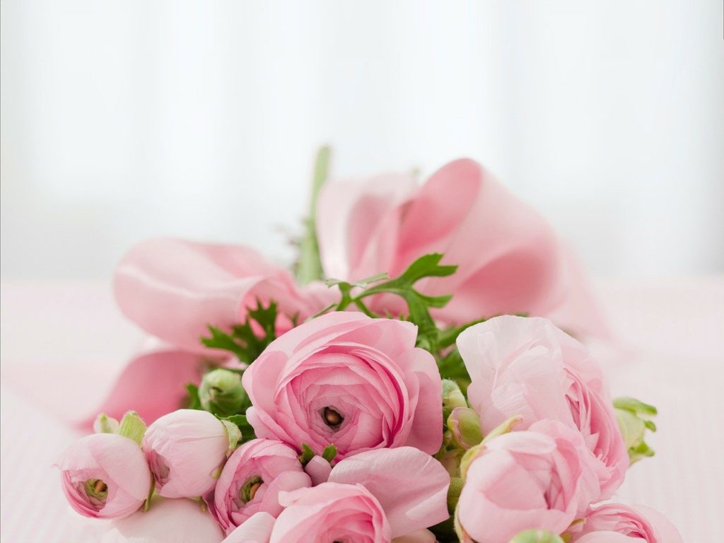 bouquet, flowers, roses-142876.jpg